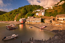 Clovelly harbour in early morning light, Clovelly, North Devon, UK. May 2015.