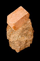 Sanidine, high temperature form of potassium feldspar,  K(AlSi3O8), from near Beaverdell, British Columbia, Canada