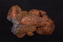 Copper and silver 'halfbreed' nugget from Delaware mine, Michigan, USA.