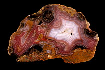 Agua nueva agate,  cryptocrystaline quartz, Mexico.