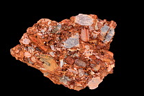 Leesburg conglomerate rock, sedimentary polymictic conglomerate. Formed in the rift valley formed when the African plate split from the North American plate in the Triassic, found near Leesburg, Virgi...