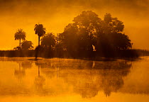 Sunrise reflection in lake, Ranthambhore Tiger Reserve,  India.