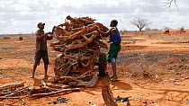Man and woman removing  wood from a cart to turn into charcoal, with a child playing nearby, Kenya, 2014.