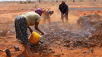 Group of men and women unearthing bits of charcoal from a charcoal pile, Kenya, 2014.