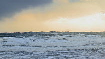 Waves breaking just off shore, seen from Talisker Bay, Isle of Skye, Scotland, UK, March.