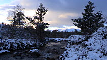 Allt Ruadh flowing above Glenfeshie at sunset, Cairngorms National Park, Scotland, UK, January 2015.