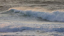 Waves breaking just off shore, Harris, Outer Hebrides, Scotland, UK, November.