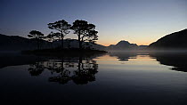 Trees reflected in Loch Maree at dawn with Slioch in background, Torridon, Scotland, November 2014.