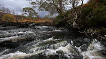 Fast flowing upland river, Beinn Eighe National Nature Reserve, Torridon, Scotland, UK, November 2014.