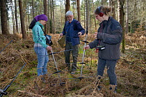 Jia Ming Lim, Roger Trout and Dani Rozycka using radiotrackers to pinpoint a radio-collared Edible / Fat Dormouse (Glis glis) hibernating in its underground burrow in woodland where this European spec...
