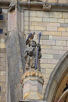 Peregrine (Falco peregrinus) perched on statue at Norwich Cathedral, Norfolk, England, UK, June.