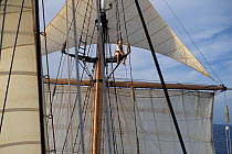 Corwith Cramer, a 134-foot steel brigantine built as a research vessel for operation under sail. Sargasso Sea, Bermuda
