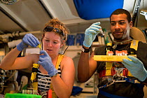 Students investigating micro plastics in marine samples, in the lab of the tall ship Corwith Cramer. Sargasso Sea, Bermuda. April 2014.