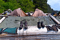 Boots and gators left out to dry at Walbran Creek Camp, along the West Coast Trail, Pacific Rim National Park Reserve, British Columbia, Canada, May 2015.
