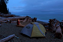 Woman at campsite at Tsocowis Creek along the West Coast Trail in Pacific Rim National Park Reserve, Vancouver Island, British Columbia, Canada, May 2015. Model released.