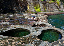Woman exploring the tide pools north of Carmanah Point along the West Coast Trail in Pacific Rim national Park Reserve, British Columbia, Canada, May 2015.  Model released.