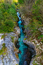 Soca River running through Great Soca Gorge, Lepena Valley, Julian Alps, Bovec, Slovenia, October 2014.
