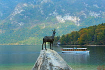 Chamois (Rupicapra rupicapra) statue, Lake Bohinj, Triglav National Park, Julian Alps, Slovenia, October 2014.