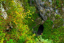 Stairs down into Pivka cave, Postojna Area, Green Karst, Slovenia, October.