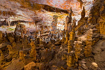 Stalagmites and stalactites, Postojna Cave, Green Karst, Slovenia, October 2014.