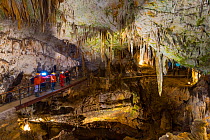 Tourists exploring Postojna Cave, Green Karst, Slovenia, October 2014.