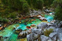 Group of kayakers in the Soca river, Julian Alps, Bovec, Slovenia, October 2014.