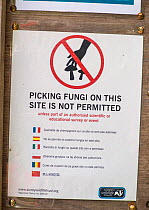 Sign at Sheepleas Nature Reserve, prohibiting the picking of fungi, Surrey Wildlife Trust, England, UK, May.