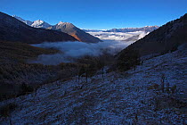 Mount  Namjagbarwa, slope in shadow, with clouds in the valley, Yarlung Zangbo Grand Canyon National Park, Nyingchi Prefecture, Tibet, China. November