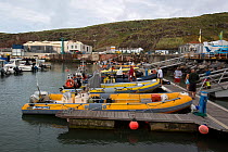 RIBs docked at Vila do Porto harbour, Santa Maria Island, Azores, Portugal, Atlantic Ocean, August 2014.