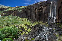 Waterfall over columnar basalt rock, Calcada do Gigante, Santa Maria Island, Azores, Portugal, Atlantic Ocean.