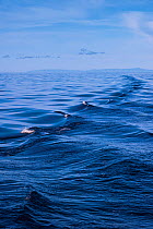 Waves on Lake Baikal seen from boat, Siberia, Russia, October 2011