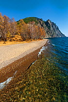 Trees on Lake Baikal shore in autumn, Siberia, Russia, October 2011.