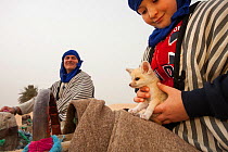 Young boy holding Fennec fox (Vulpes zerda) pup aged few weeks, caught in the wild and shown at a famous camel trekking site for tourists in the hope of either selling it or being paid for photos, Keb...