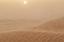 Sun filtering through sand during severe sandstorm. Grand Erg Oriental, Tunisia