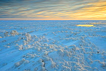 Sunrise over windswept snow and ice, Lake Peipsi, Eastern Estonia, December.