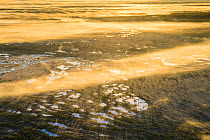 Aerial view of foggy bog pools at sunrise. Ida-Virumaa, Estonia, May.