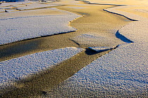 Fresh snow on ice on the shore of Lake Vortsjarv, Estonia, December.
