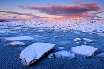 Broken ice covered in snow at sunset, on the shore of Lake Vortsjarv, gathered to shore by extreme winds, Estonia. December 2014.
