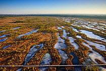 Aerial view of spring over Mannikjarve bog hiking trail in Endla Nature Reserve, Jogevamaa County, Estonia, March 2015. Taken with drone camera.