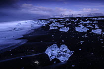 Moonlight illuminating icebergs, Jokulsarlon lava beach,  Iceland. September 2011.