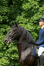 Man dressed in traditional riding costume, riding a rare black Kladruber stallion, at the Great Riding Festival, in Slatinany national stud, Pardubice Region, Czech Republic. June 2015.
