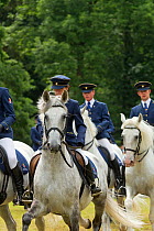 Men dressed in traditional riding costumes, riding rare white Kladruber stallions, at the Great Riding festival, in Slatinany national stud, Pardubice Region, Czech Republic. June 2015.