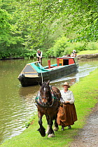 Sue Day, in a Victorian dress, tows with her draft horse, Maria, a 1814 wooden narrowboat, on the canals, near Marple, Metropolitan Borough of Stockport, Greater Manchester, England. July 2015.