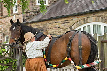 Sue Day, in a Victorian dress, harnesses her draft horse to tow Maria, a 1814 wooden narrowboat, on the canals, near Marple, Metropolitan Borough of Stockport, Greater Manchester, England. July 2015.