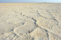 Salt formation of the Lake Assale, Danakil Depression, Afar region, Ethiopia, March 2015.