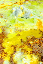 Dallol hot spring with salt concretions coloured by sulphur, potassium and iron, Dallol Volcano, Danakil Depression, Ethiopia, March 2015.