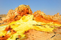 Dallol hot spring with salt concretions coloured by sulphur, potassium and iron, Dallol Volcano, Danakil Depression, Ethiopia, March 2015.