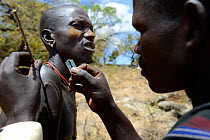 Men from the Mursi tribe decoratively scaring skin, one man scars the arm of another one by lifting the skin with an acacia spine and cutting it with a razor blade, Ethiopia, March 2015.