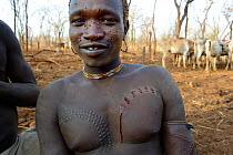 Young man from the Bodi Tribe with having new scars made on his chest with razor blade  to make decorative skin scarifications. Omo Valley,  Ethiopia, March 2015.