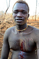 Young man from the Bodi Tribe with new scars on his chest to make decorative skin scarifications. Omo Valley,  Ethiopia, March 2015..